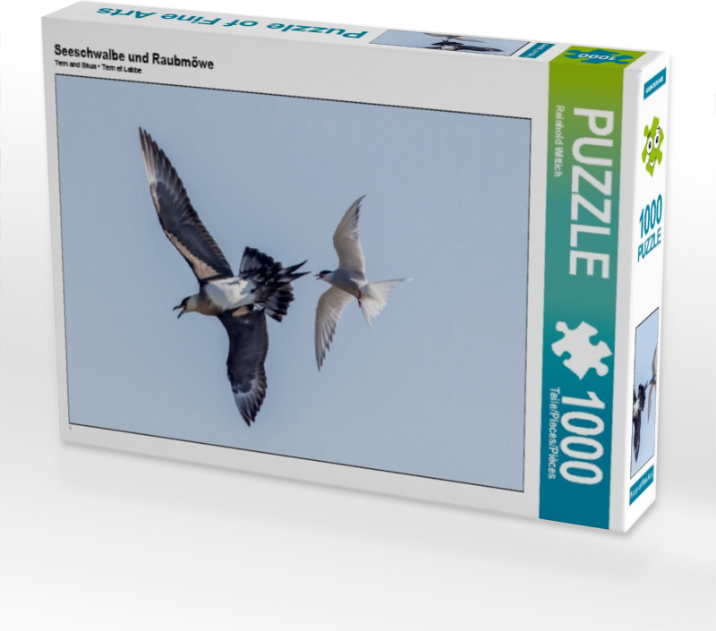 Calvendo Seeschwalbe und Raubmöwe 1000 Teile Puzzle quer 640x480mm, Wittich Reinhold; 7457748