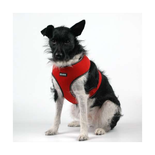 Pet-Star Softgeschirr / Netzgeschirr - Rot - XL PS-45436