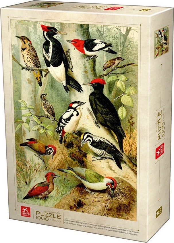 DEICO Puzzle Enzyklopädie Vögel 1000 Teile