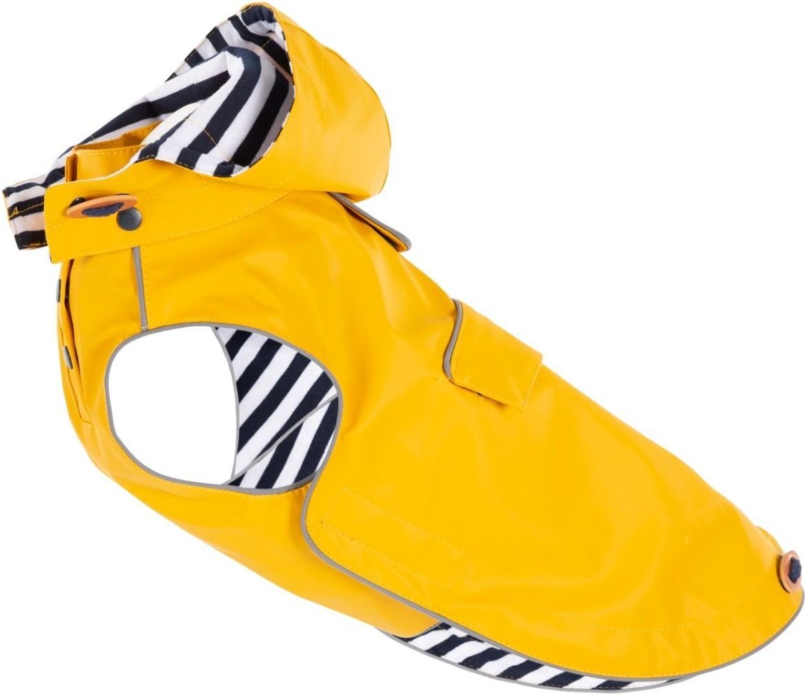 Trespaws Seadog Hundebekleidung, Größe: S