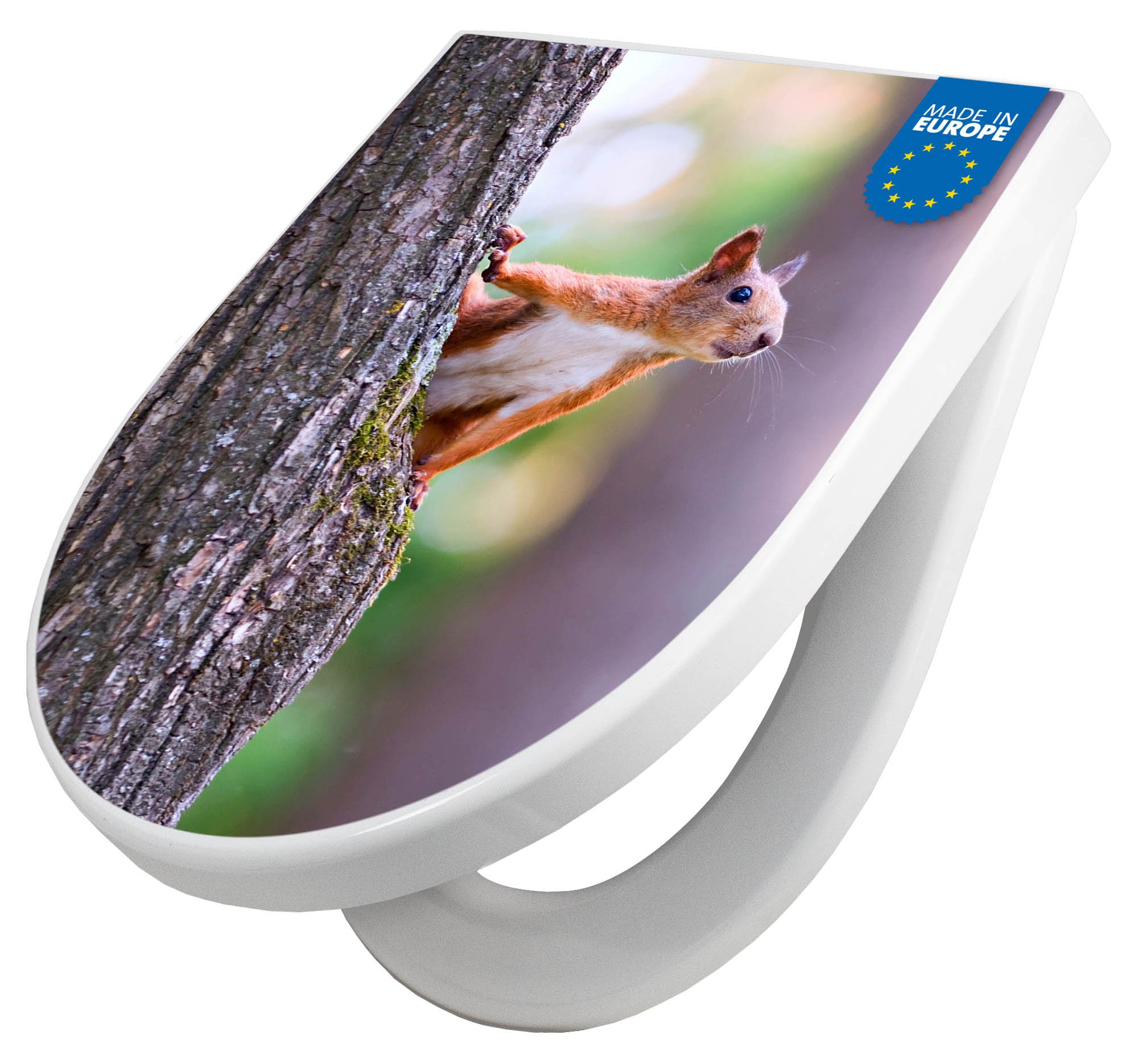 banjado WC Sitz mit Absenkautomatik D Form Motiv Eichhörnchen [TDW3 10326]