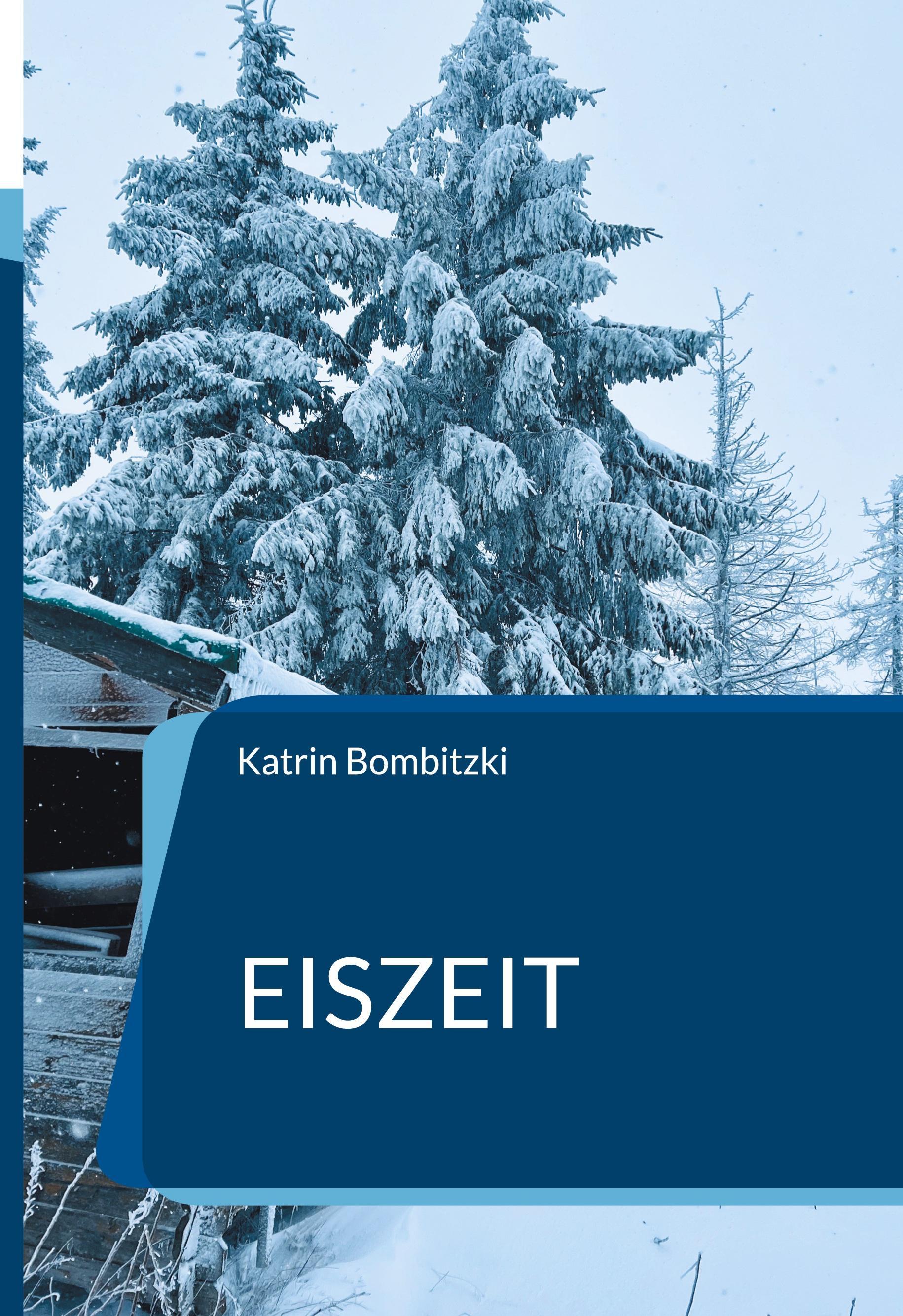 Bod - Books On Demand Eiszeit