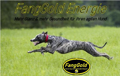 H&S Handelsvertretung FangGold Energie, 38% Lachs 15 kg HS-19-22