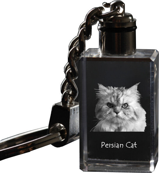 Perserkatze - Wanduhr mit Katze, Regal Uhr mit Druck, personalisierte Hausdekoration von Art-Dog.