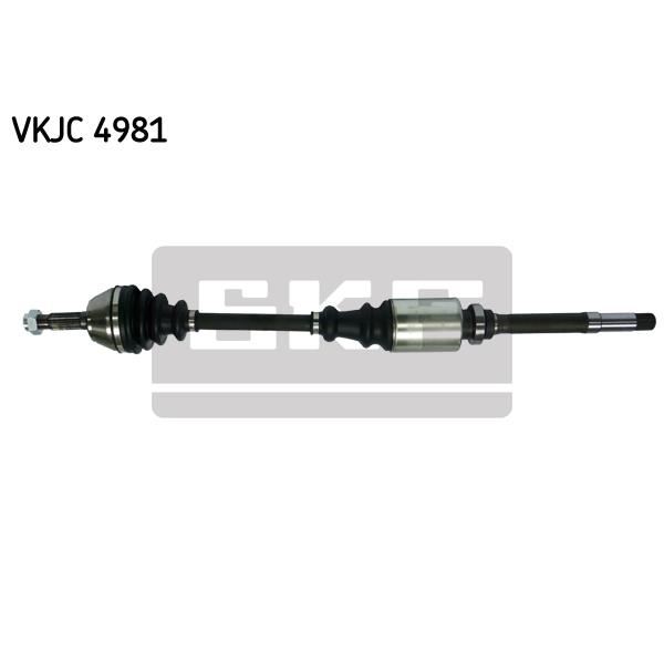 SKF Kit Getriebeart Gimbal VKJC 4981