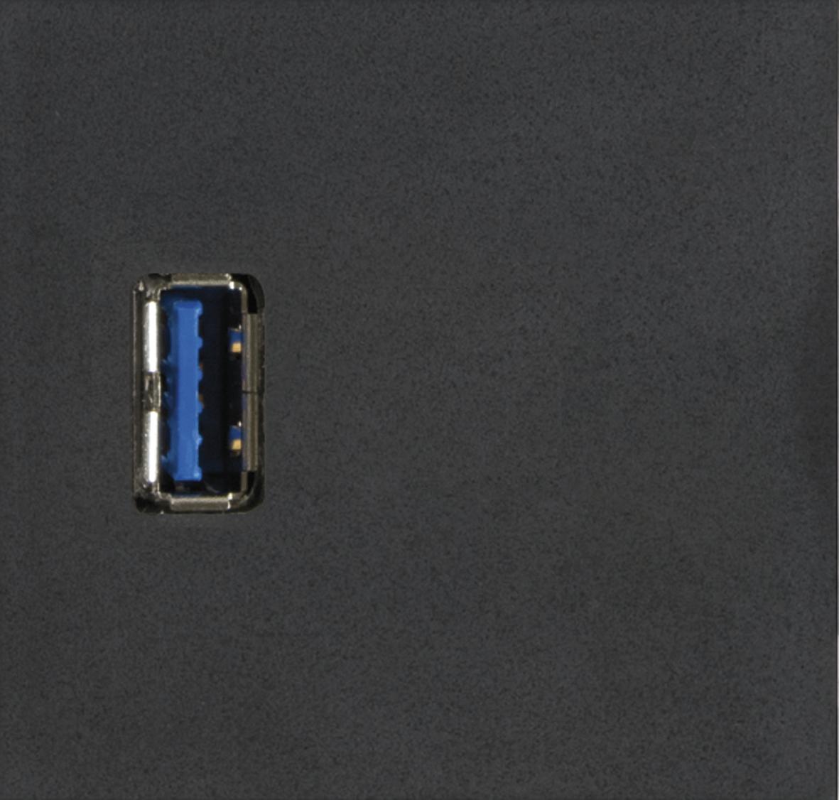 Evoline Wechselmodul 1x USB 3.0 Typ A Buchse vorne und hinten Kunststoff schwarz 1599 0330 0600