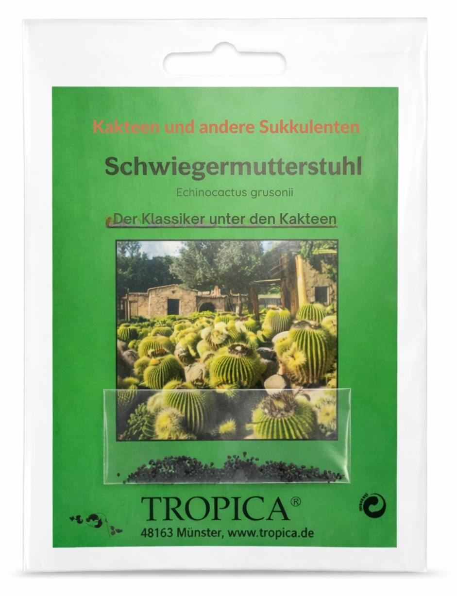 Tropica Kakteen – Schwiegermutterstuhl Samen | Echinocactus grusonii | Goldkugelkaktus