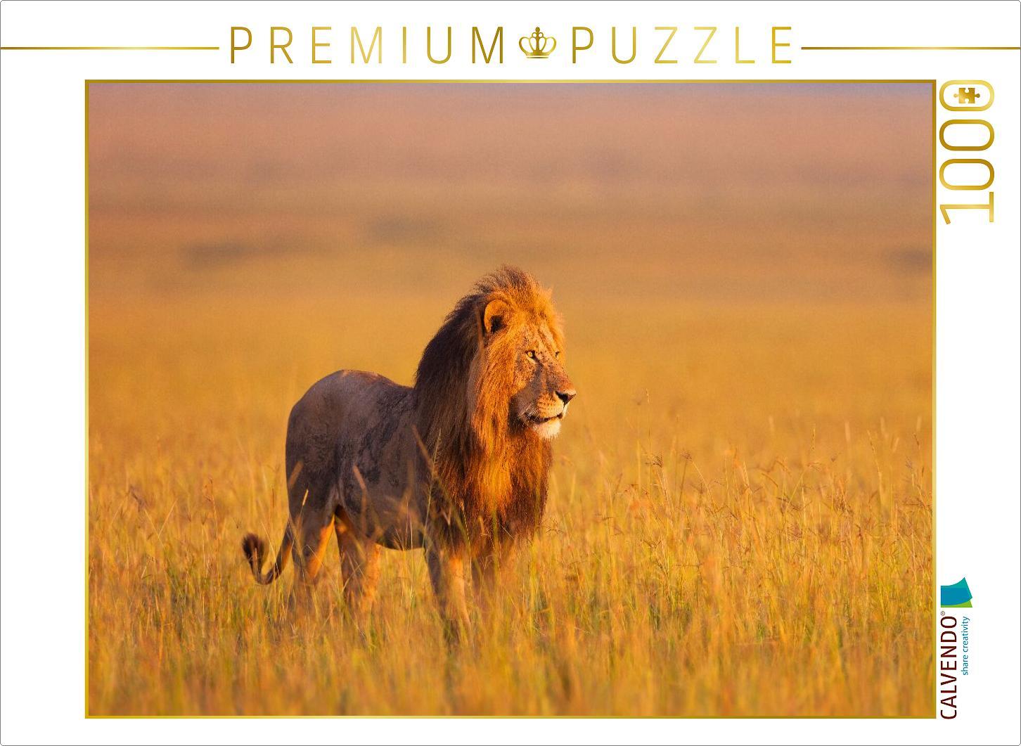 CALVENDO Puzzle Afrikanischer Löwe, Masai Mara, Kenia. | 1000 Teile Lege-Größe 64 × 48 cm Foto-Puzzle für glückliche Stunden