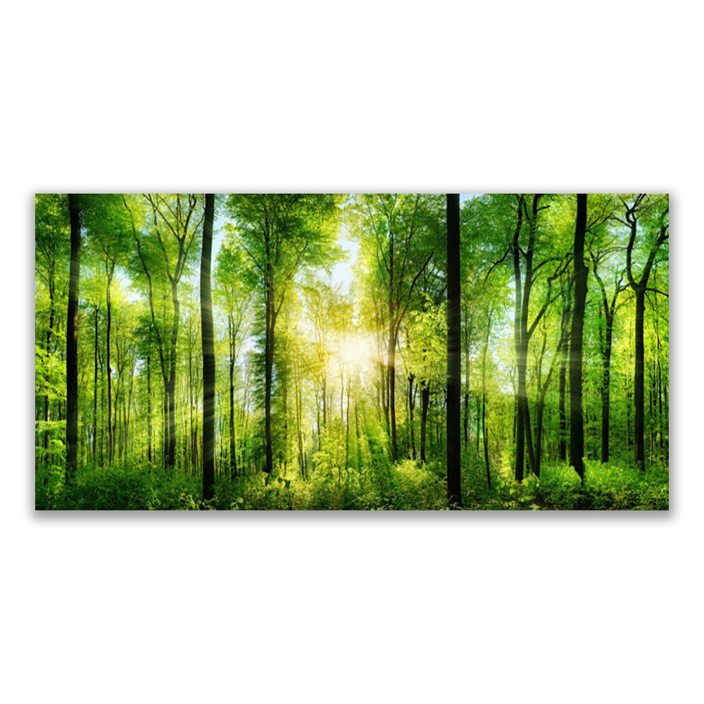 Acrylglas-Bild Wandbilder Druck 140x70 Deko Landschaften Wald Sonne 