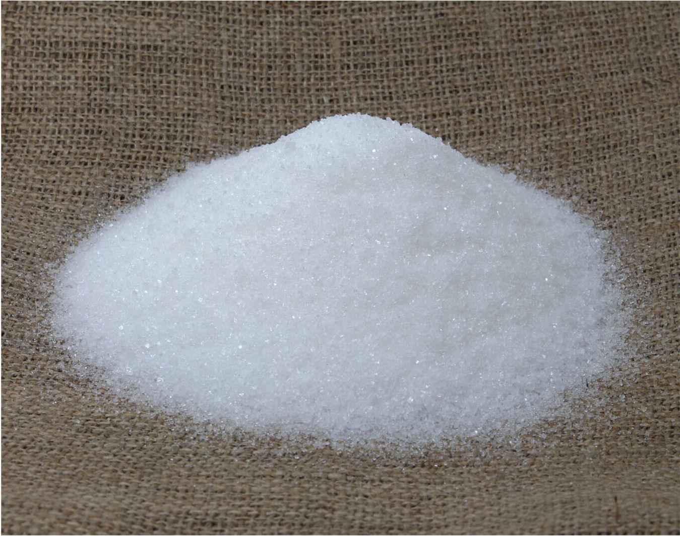 LanDixx Ammoniumsulfat SSA 21 (+24) Dünger 25 kg Stickstoffdünger Schwefeldünger