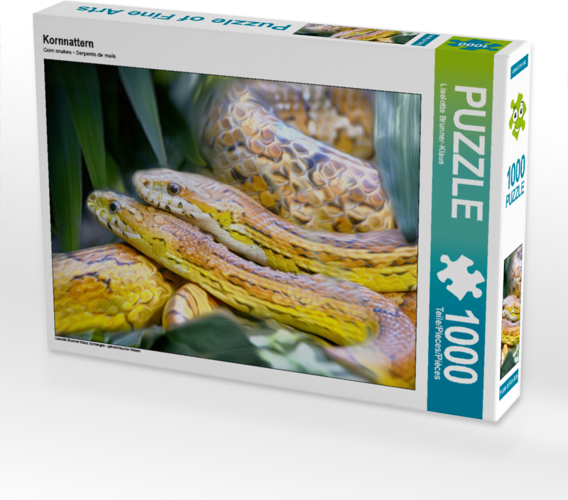 CALVENDO Puzzle Kornnattern | 1000 Teile Lege-Größe 64x48cm Foto-Puzzle für glückliche Stunden