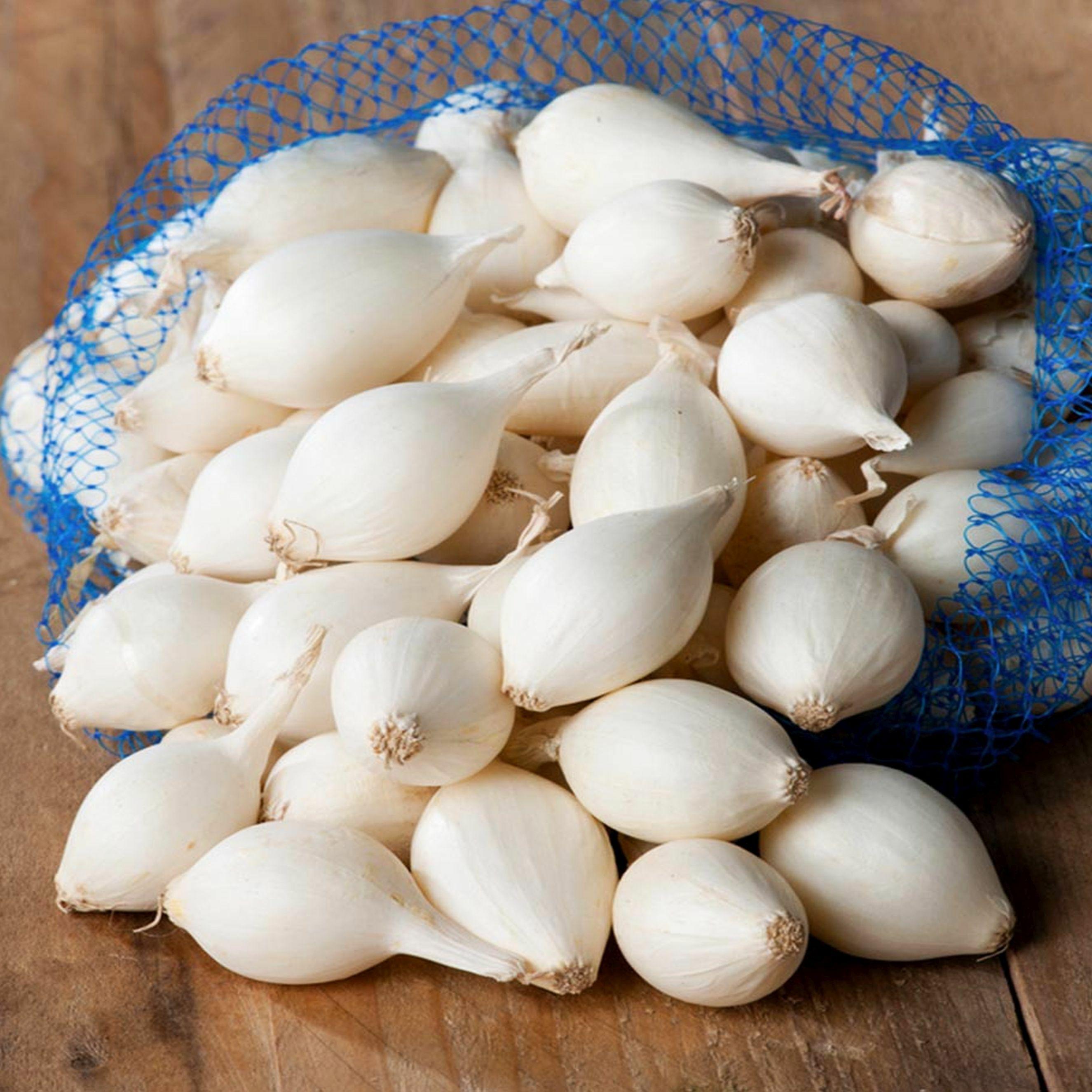 Benex Steckzwiebel weiss lecker Steckzwiebel Zwiebel Snowball Größe 8-21 0,25 Kg