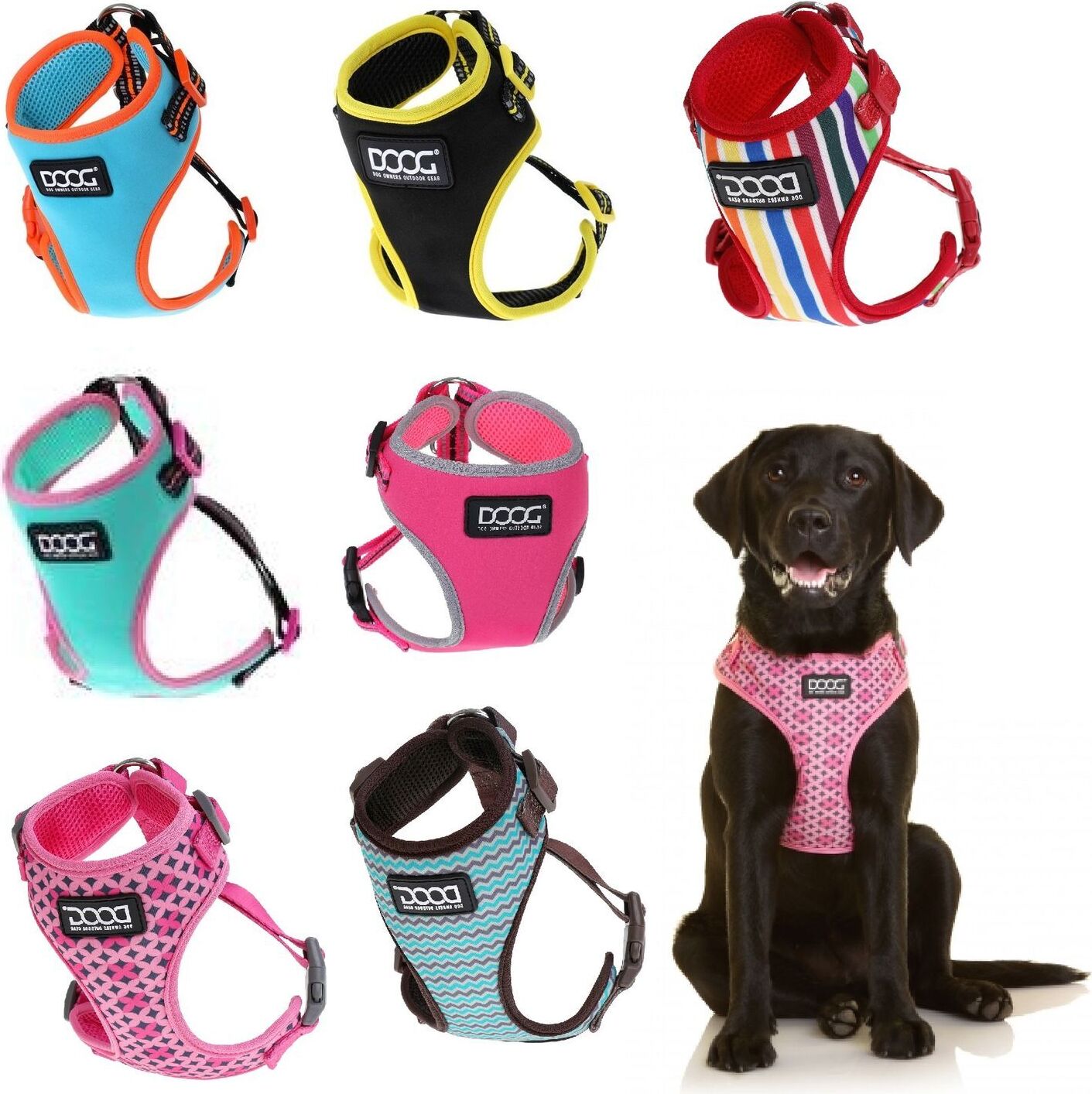 DOOG Neon Harness Geschirr, Größe:40-56 cm, Farbe:pink / schwarz HARPBS-M