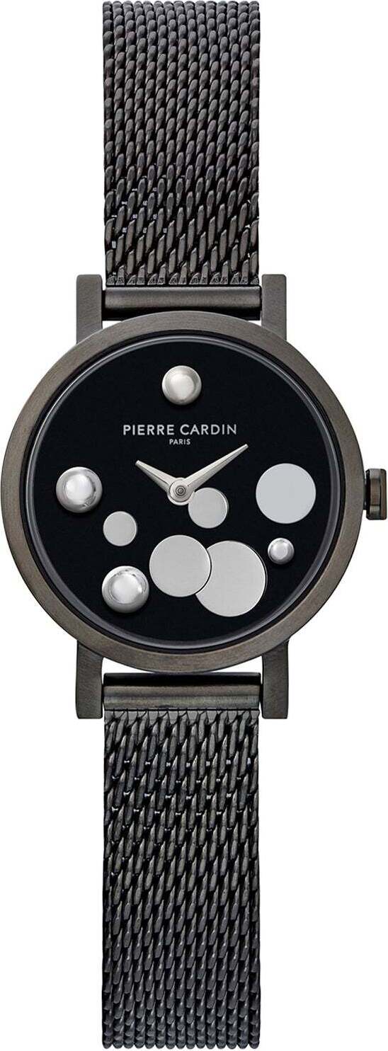 Dámské hodinky Pierre Cardin  CCM.0500