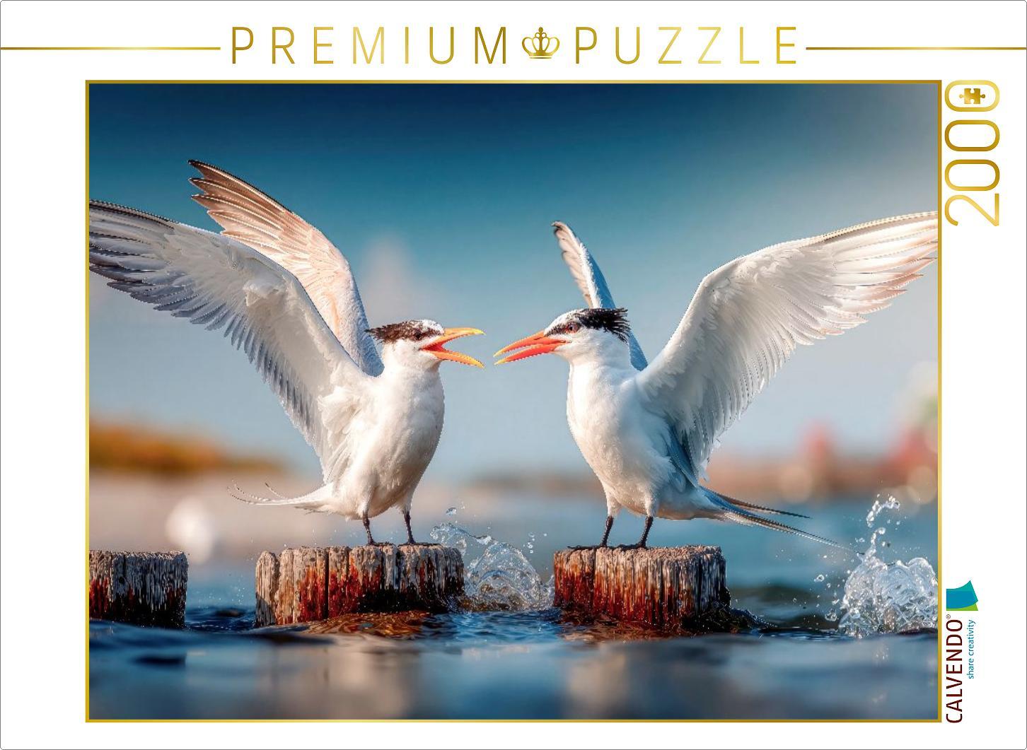 CALVENDO Puzzle Seeschwalbengetratsche | 2000 Teile Lege-Größe 90x67cm Foto-Puzzle für glückliche Stunden