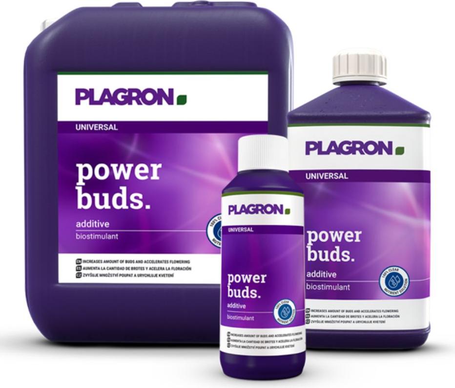 Plagron Power Buds 1L - Perfekt für Blütenbildung | Flasche (1 l) A33323