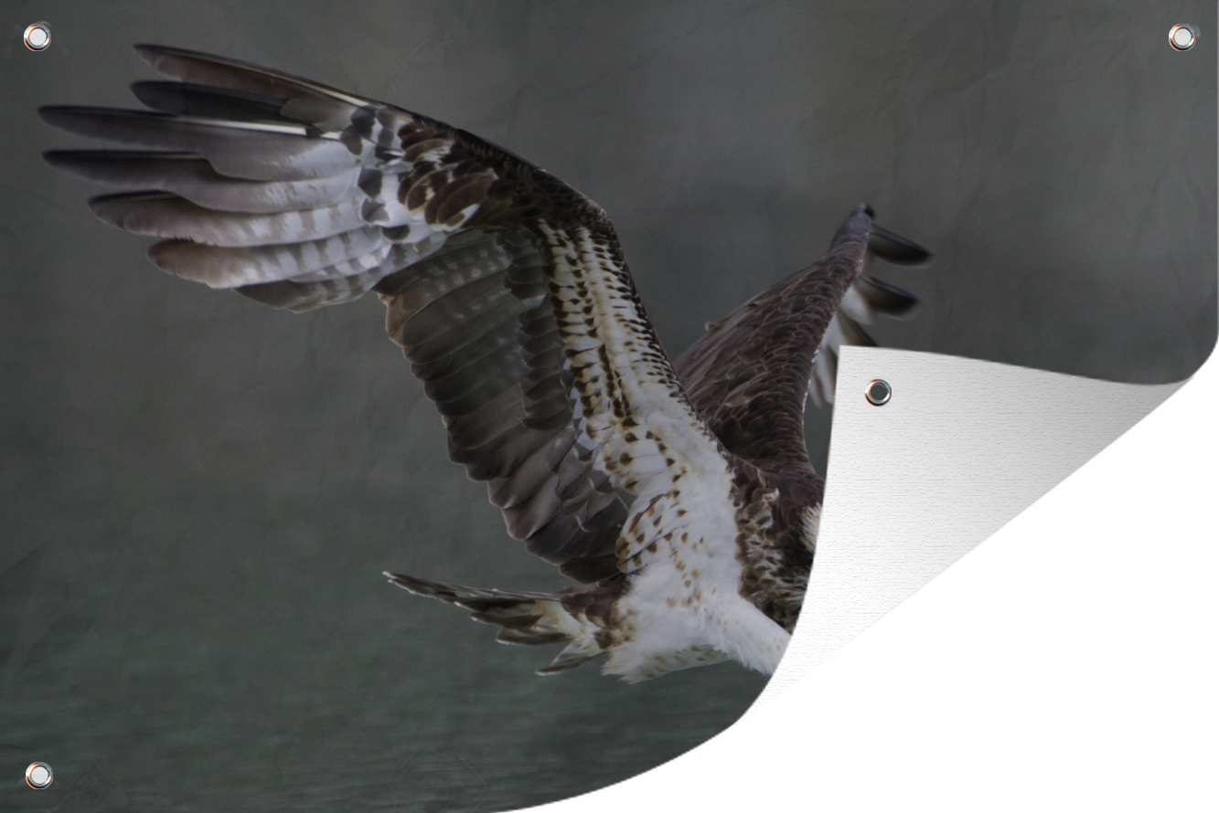 MuchoWow® 90x60 cm Outdoor-Poster Gartendeko Sichtschutz Garten Poster für den Garten Fischadler - Wasser - Raubvogel 133|1312451