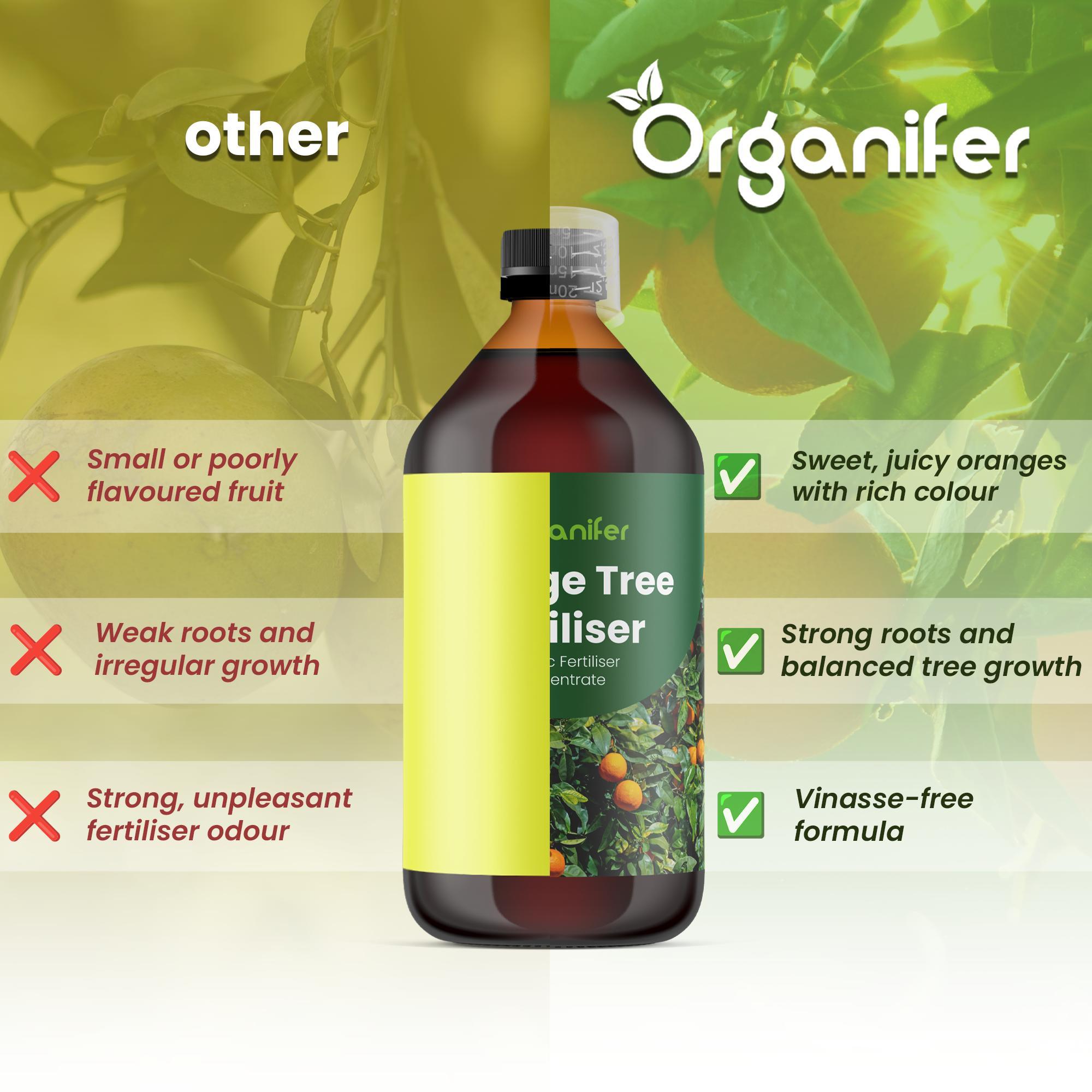 Orangenbaum Flüssigdünger 5x1L – 2-1-8 NPK – Flüssig-Pflanzendünger für Orangenbäume – Organifer 326142