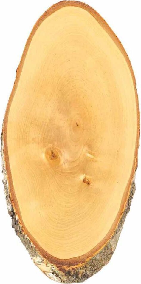 Eurohunt Birkenhirsch Trophäenteller Braun 39 x 20 cm Braun 39 x 20 cm 560889