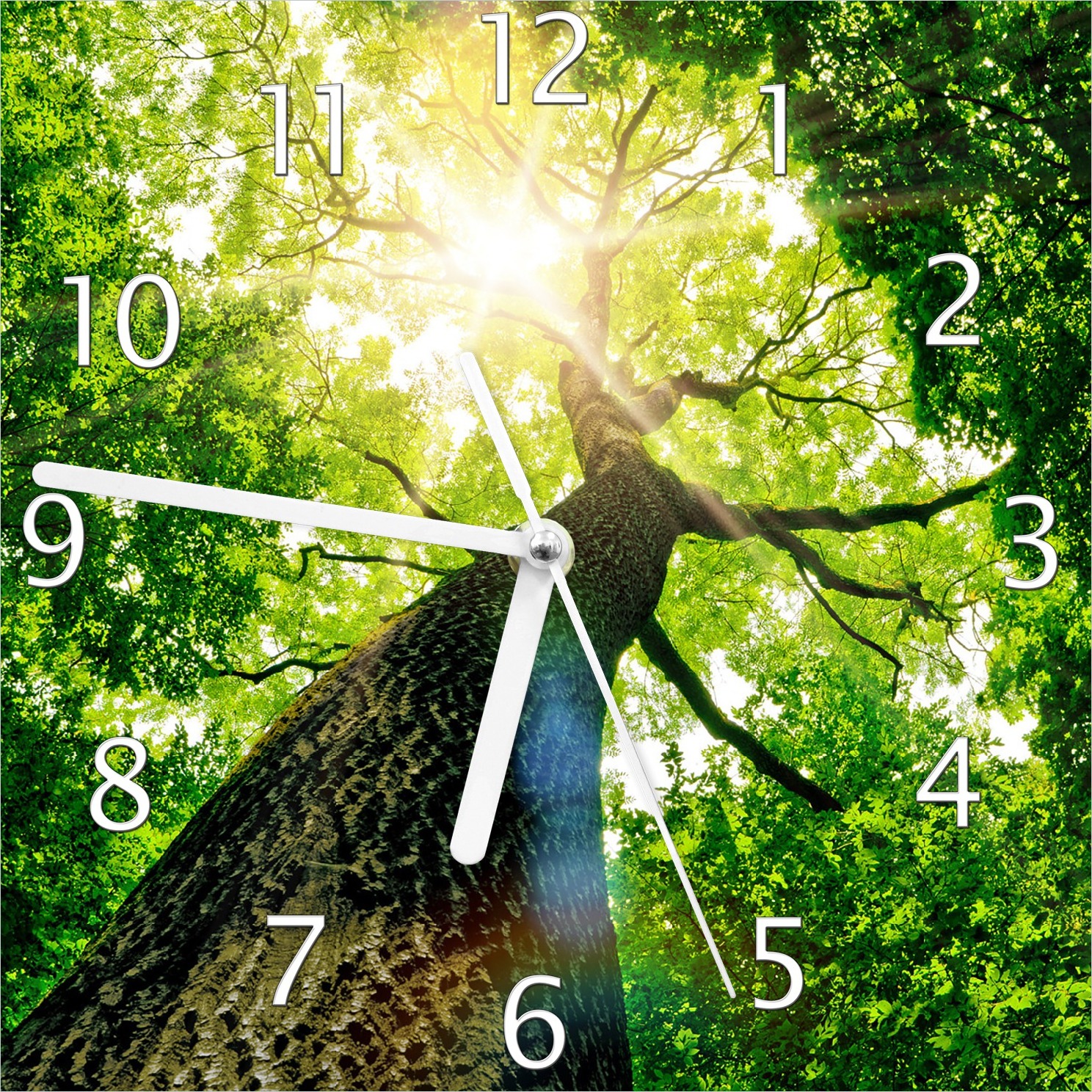 Wallario Design Wanduhr Laubbaum aus der Froschperspektive aus Echtglas, Größe 20 x 20 cm guk0259-2020