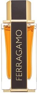 Salvatore Ferragamo Spicy Leather Special Edition parfémovaná voda pre mužov 100 ml