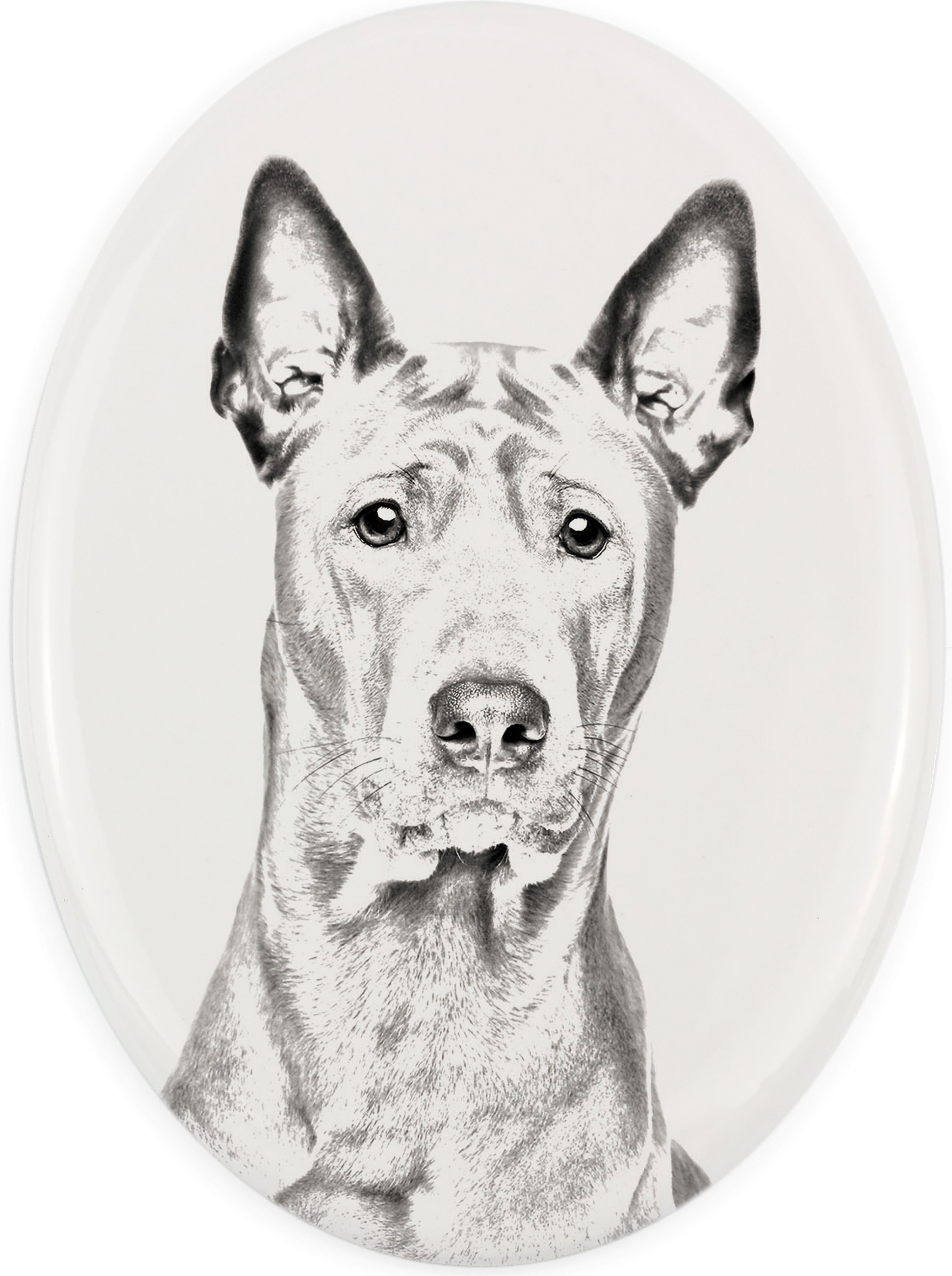 Thai Ridgeback, Thailand-Ridgeback - Gedenktafel mit einem Foto eines Hundes, Grabplatte mit Druck, personalisierte ovale Platte der Marke Art-Dog