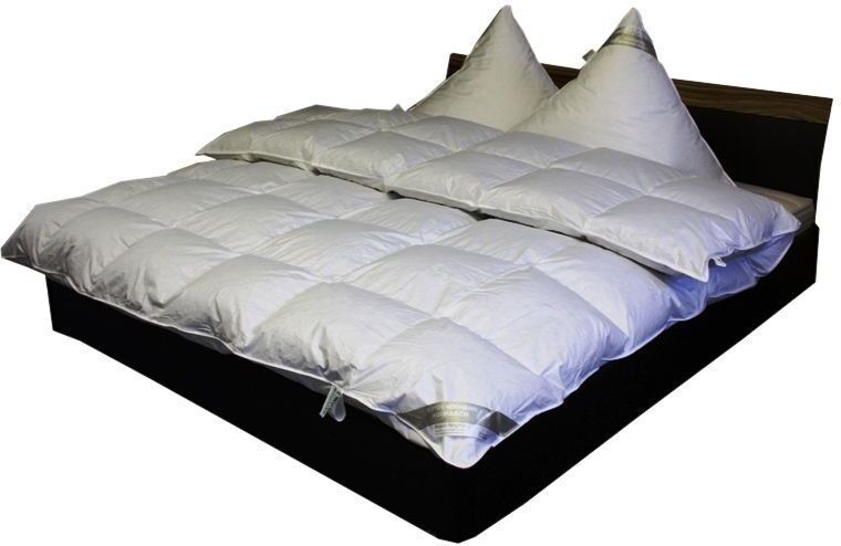Betten Hofmann Premium 8cm Hochsteg Daunenbett Daunendecke 135x200 100% pilsner Gänseflaum