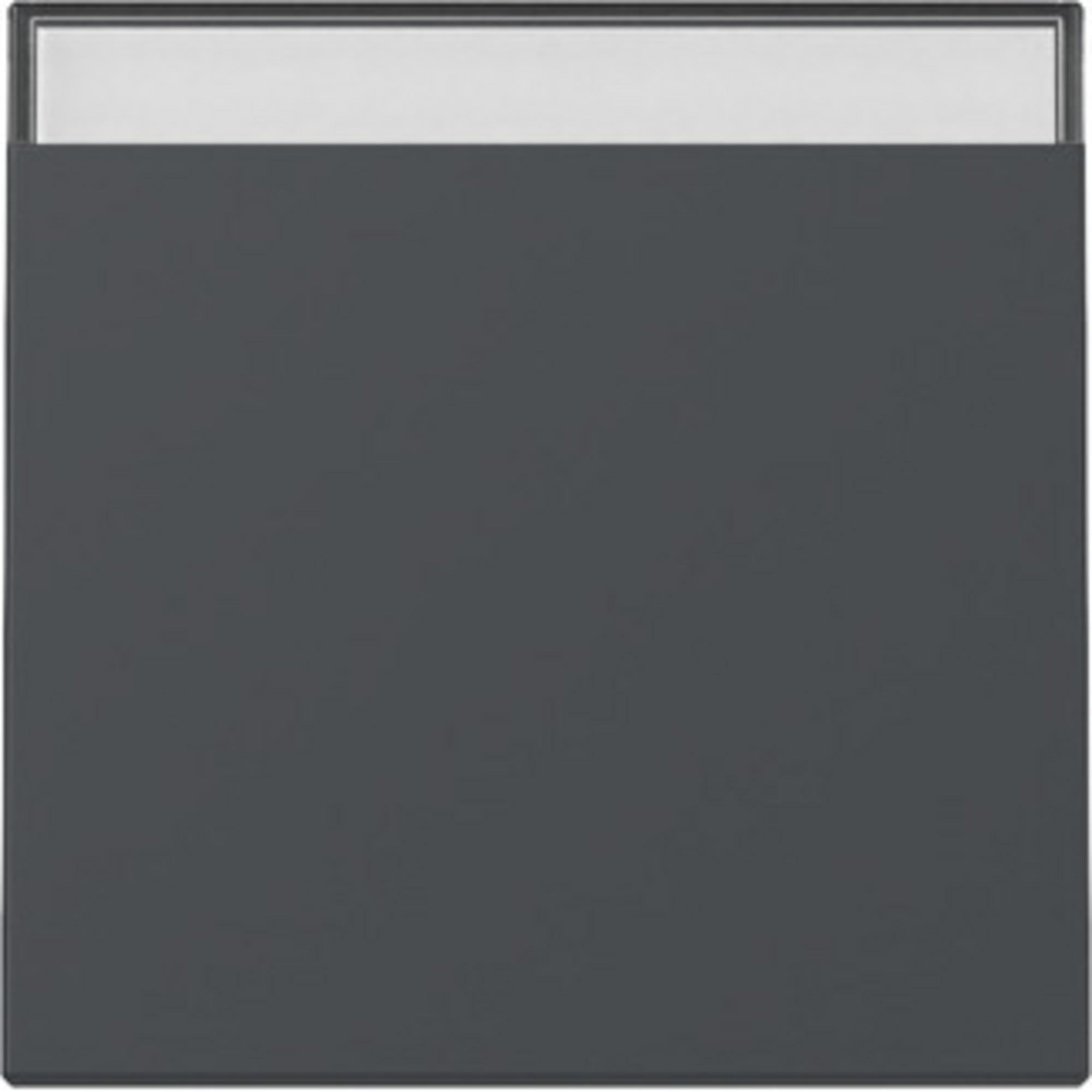GIRA 329928 Wippe BeschriftungsfeldSystem 55 Anthrazit
