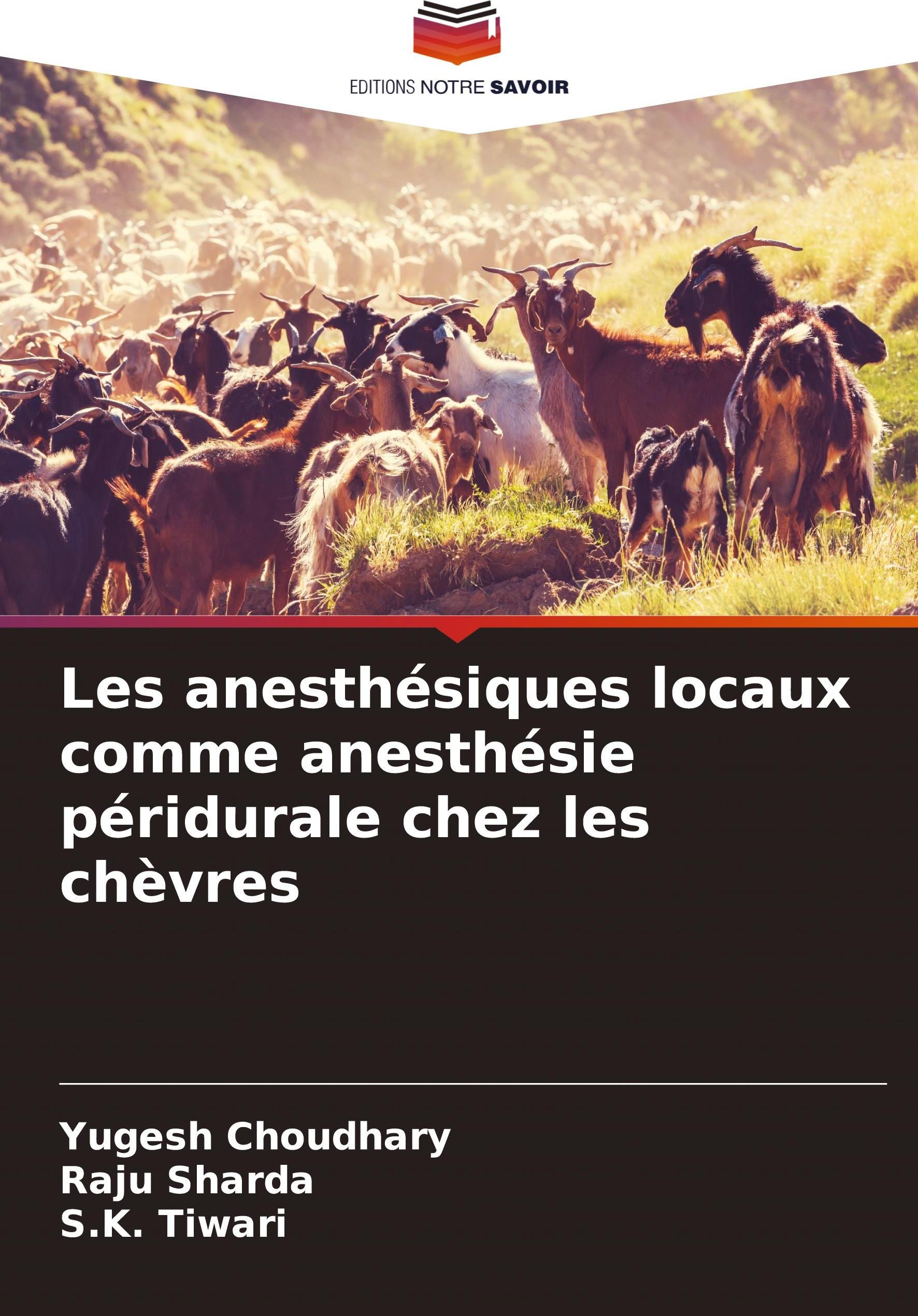 OMNISCRIPTUM Les anesthésiques locaux comme anesthésie péridurale chez les chèvres