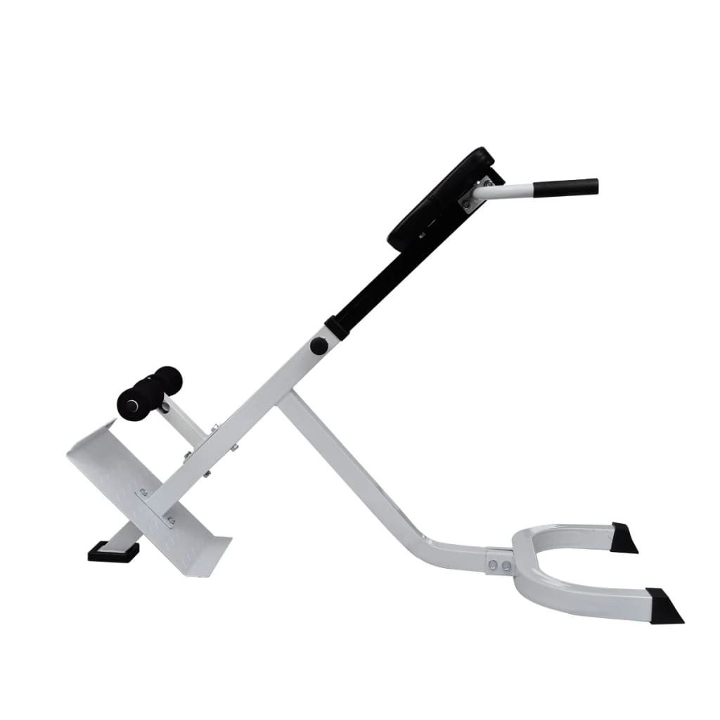 vidaXL Rücken- und Bauchtrainer 90361