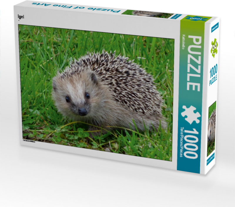 Calvendo Igel 1000 Teile Puzzle quer 640x480mm, CALVENDO; 7314619