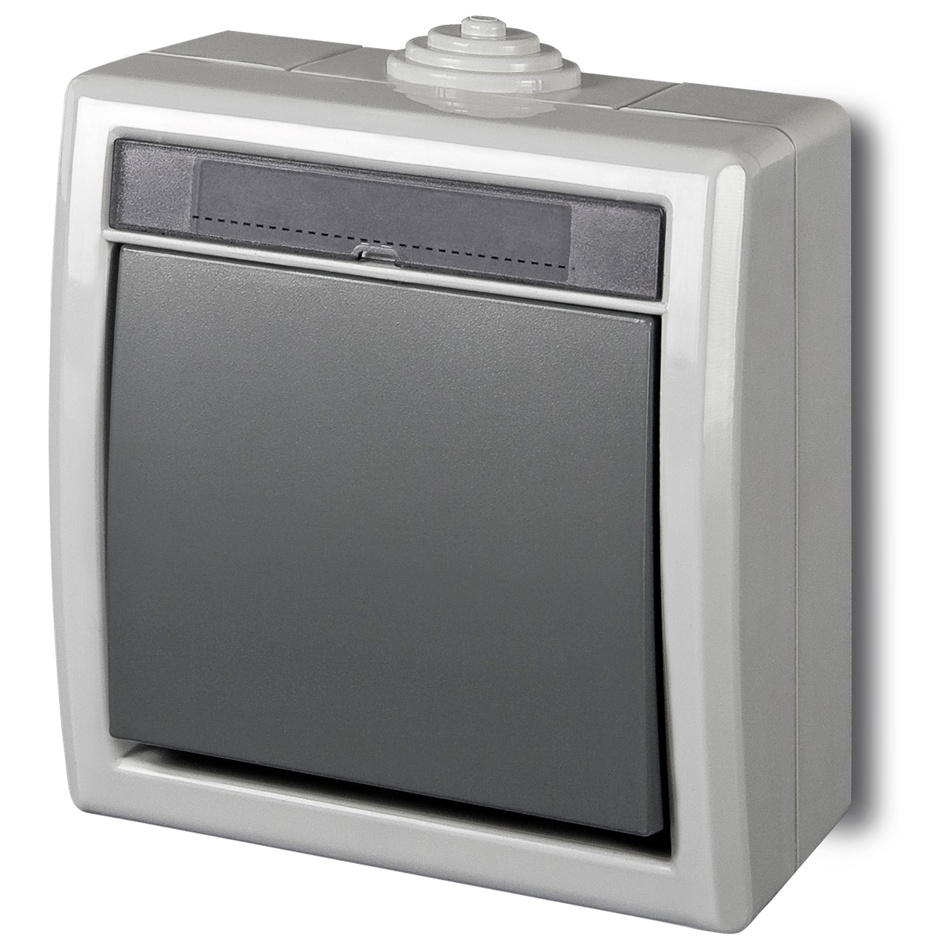 Elektro-Plast Elektroplast Two Way Swith Aquant Grey Ip55 1201-10
