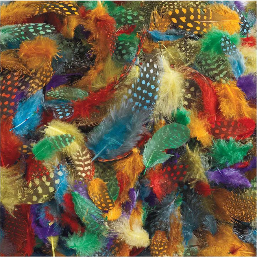 Colorations Färbungen - gefleckte Federn, 30 Gramm CHSPOT