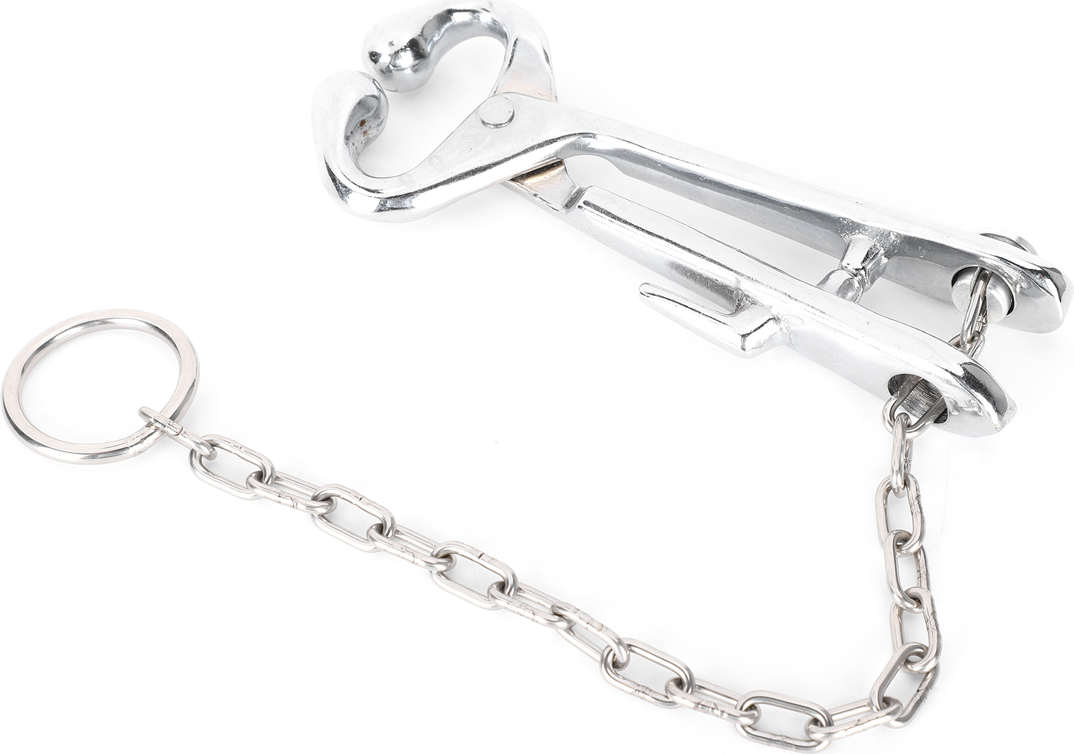 Cocosity Kuhzange,Rindernasenring,Rindernasenzange mit Kette,Rinderzugklemme,Rindernasenring aus Edelstahl,Rinderkuh-Zubehör