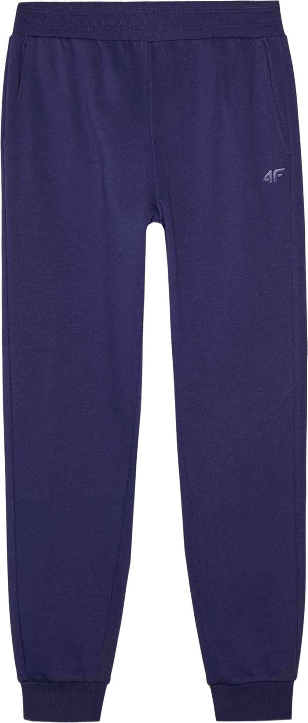 Jogginghose 4F M0943-31S für Herren