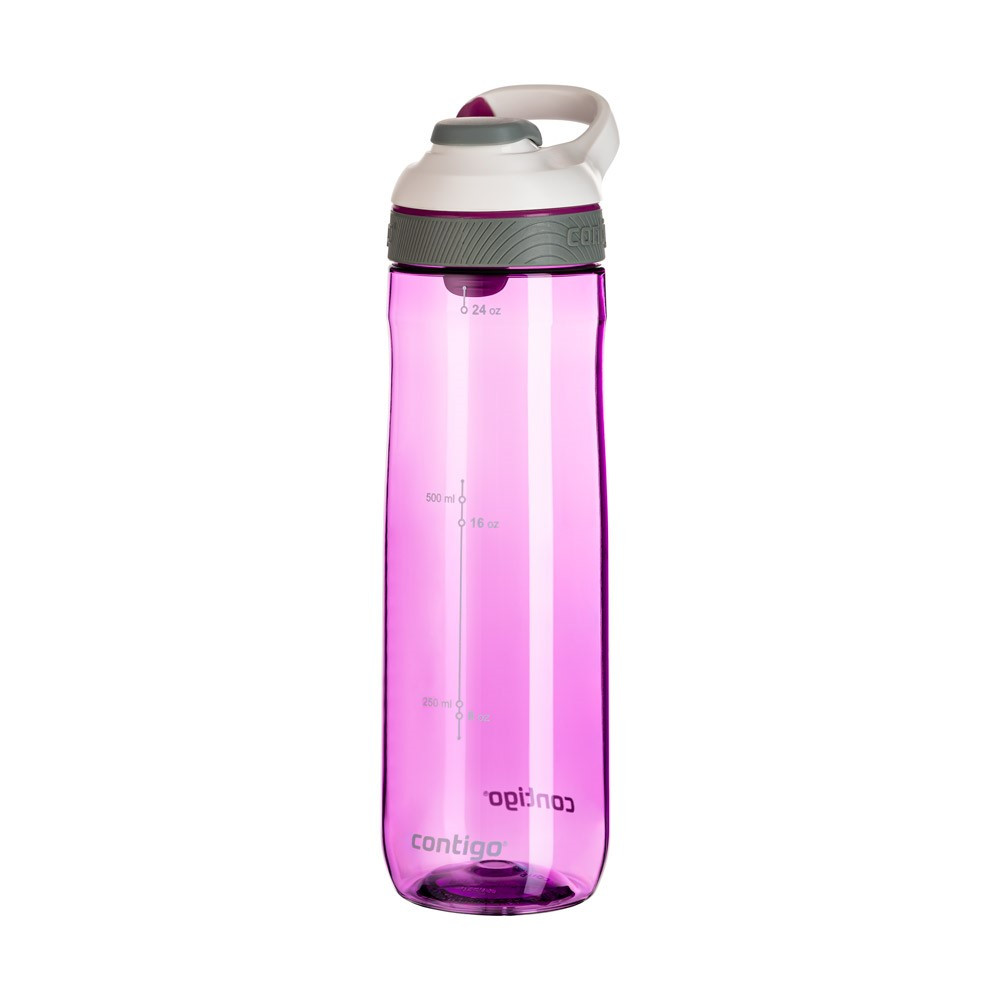 Contigo Autoseal Cortland Water Bottle, 24 oz., Radiant Orchid 