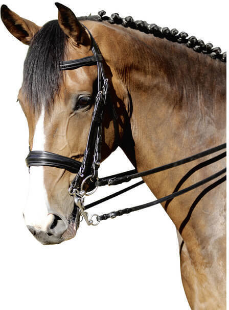 Euroriding Kandare Philadelphia Natural Line mit Zügel Schwarz Full 10130004 (Euroriding)