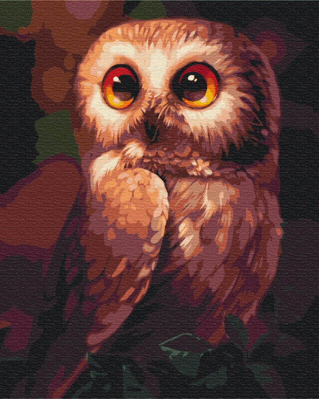 Symag Bild Malen Sie! Malen nach Zahlen. Eule BS51861