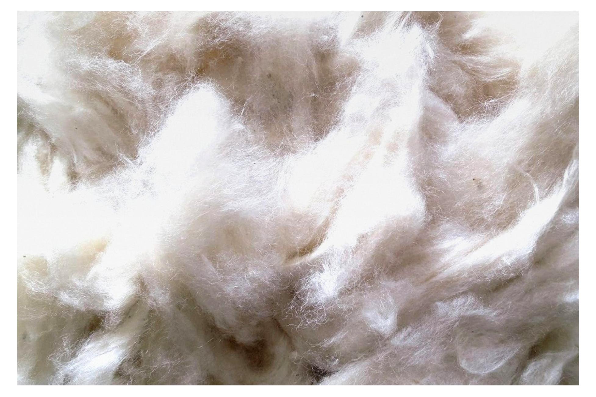 Markenlos Hamsternest, Nestmaterial aus 100% Kapok, 500g (19,00 /kg)