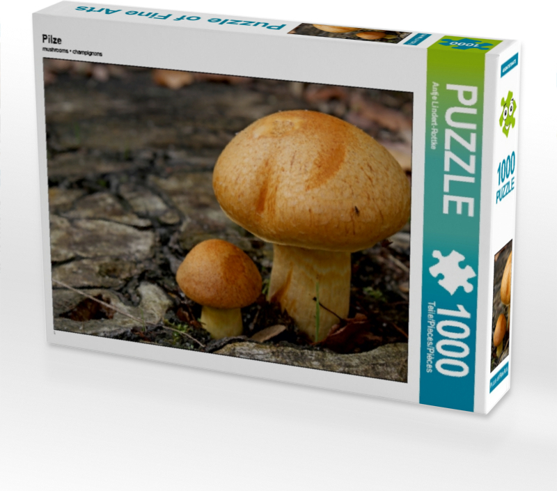 Calvendo Pilze 1000 Teile Puzzle quer 640x480mm, Lindert-Rottke Antje; 7457452