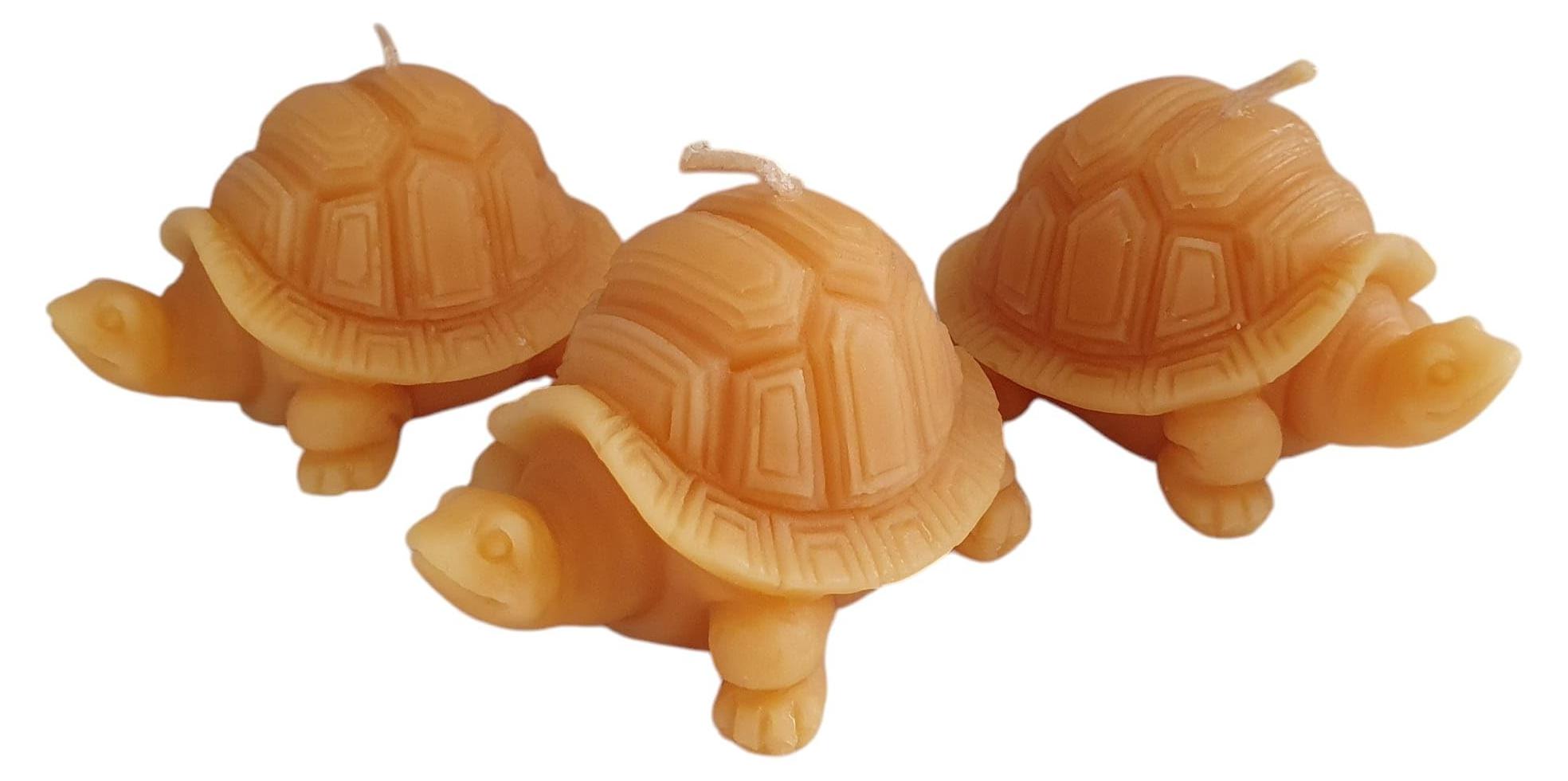 Merkloos Set von 3 Bienenwachskerzen in Schildkrötenform - 100% Natürliche Bienenwachs