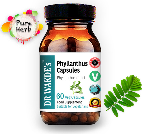 DR WAKDE'S Natural Health Care DR WAKDE'S Phyllanthus Kapseln (Bhumi-amla | Bhumyamalaki) | 60 Vegi Caps | Ayurveda-Supplement | Vegan | 100% Kräuter | Mengenrabatte | Am selben Tag PH006
