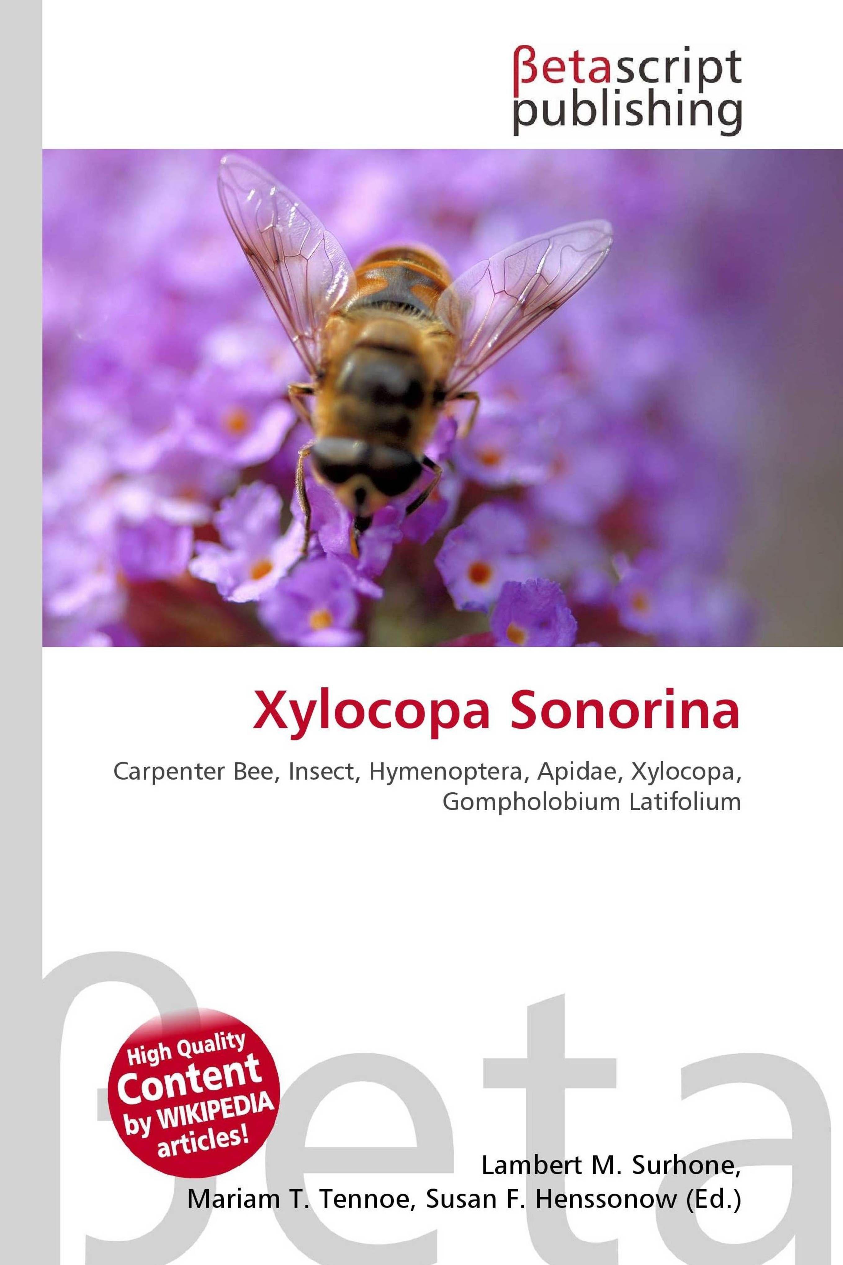 Sonstige Verlage Xylocopa Sonorina