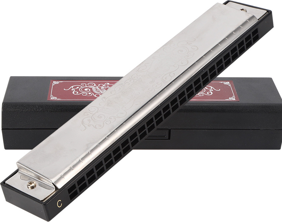 Cocosity 24-Loch-Mundharmonika,Mundharmonika,Mundharmonika-Geschenk,Metall-Mundharmonika