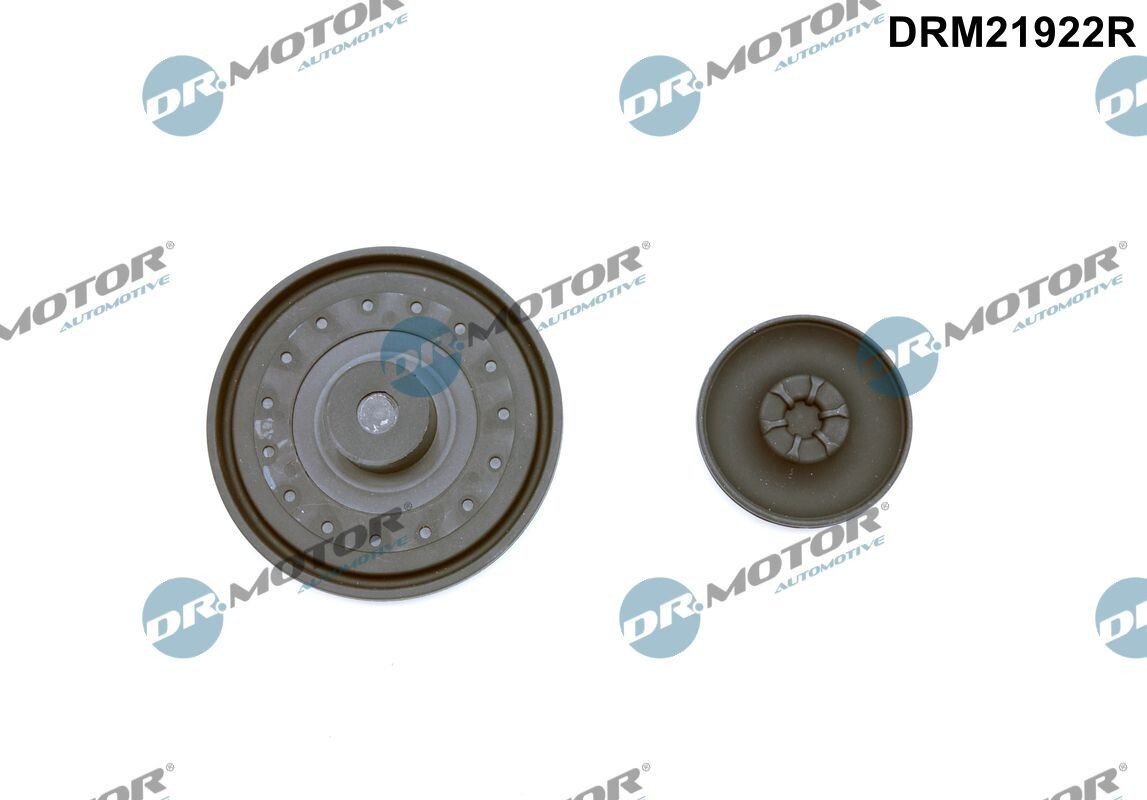 DR.MOTOR AUTOMOTIVE Membran Kurbelgehäuseentlüftung DRM21922R für VW Transporter V Bus (7HB, 7HJ, 7EB, 7EJ, 7EF, 7EG, 7HF, 7EC)