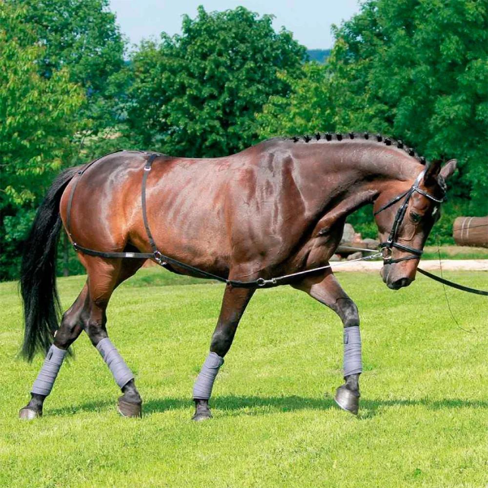 USG-Reitsport Usg Dressur Nylon Und Trainingssystem Pony/Cob Pony/Cob USG14600003-397