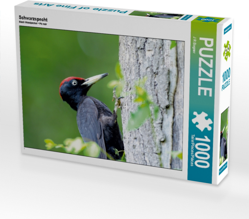 Calvendo Schwarzspecht 1000 Teile Puzzle quer 640x480mm, R Bogner J; 7343654