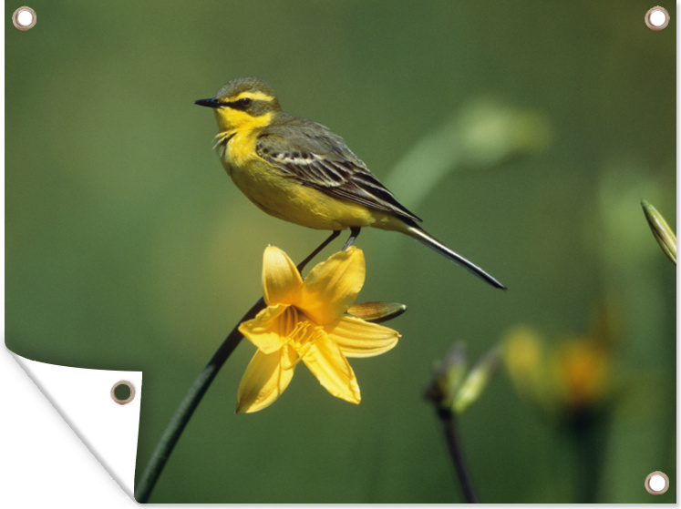 MuchoWow® 133|1309121