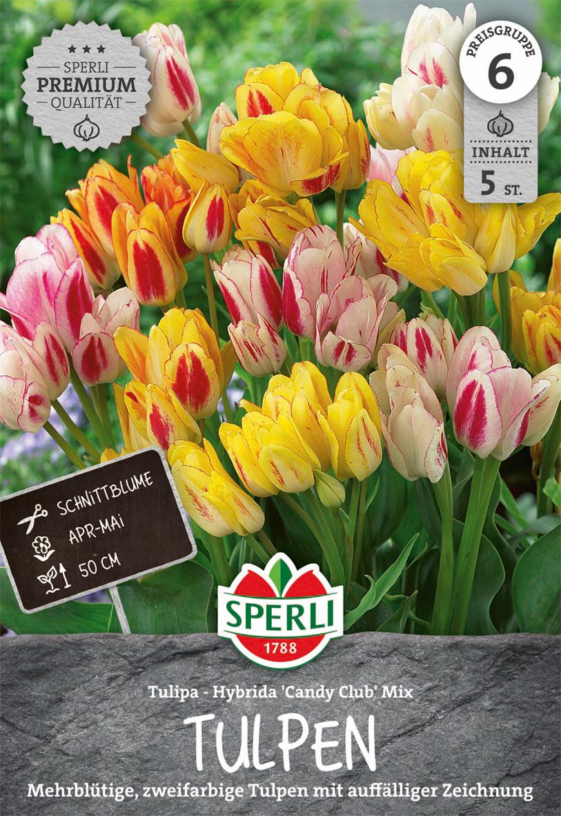 Sperli GmbH Tulpe Candy Club Mix (5 Stück) | Tulpenmischung von Sperli 456349