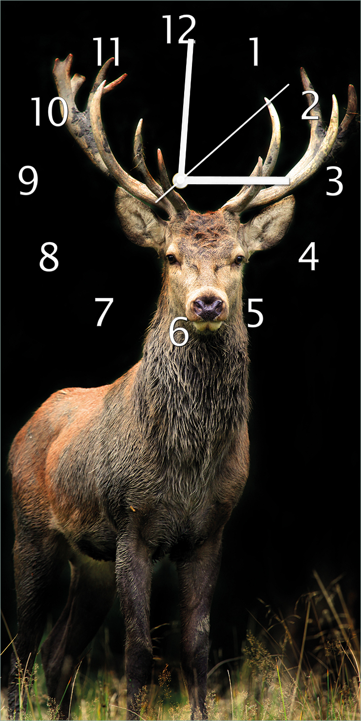 Wallario Design Wanduhr Stattlicher Rothirsch aus Echtglas, Größe 30 x 60 cm guk0314-3060